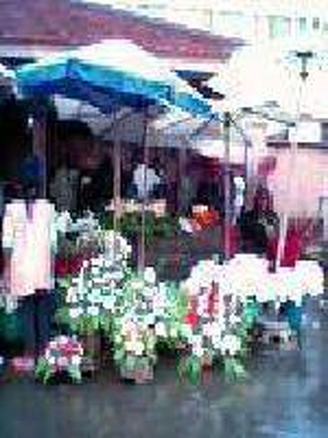 [２００７/３/１７]　花市（アヌシ湖畔のジョセフ病院前）<br /><br />今回は航空券だけでマダガスカルに着ており、早朝アンタナナリボに着いて、夕方のフォール・ドーファン行きの国内線に8時間位あったので、直接旅行会社に行って「ペリネ特別保護区」連れていってもらおうとしたらダメみたいでした。長距離のタクシーブルースを乗り継いでいこうとしても乗り場がわからず、夕方の国内線にはとうてい間に合わないと判断して、町の郊外にあるレミューズ・パークに行くことにしました。