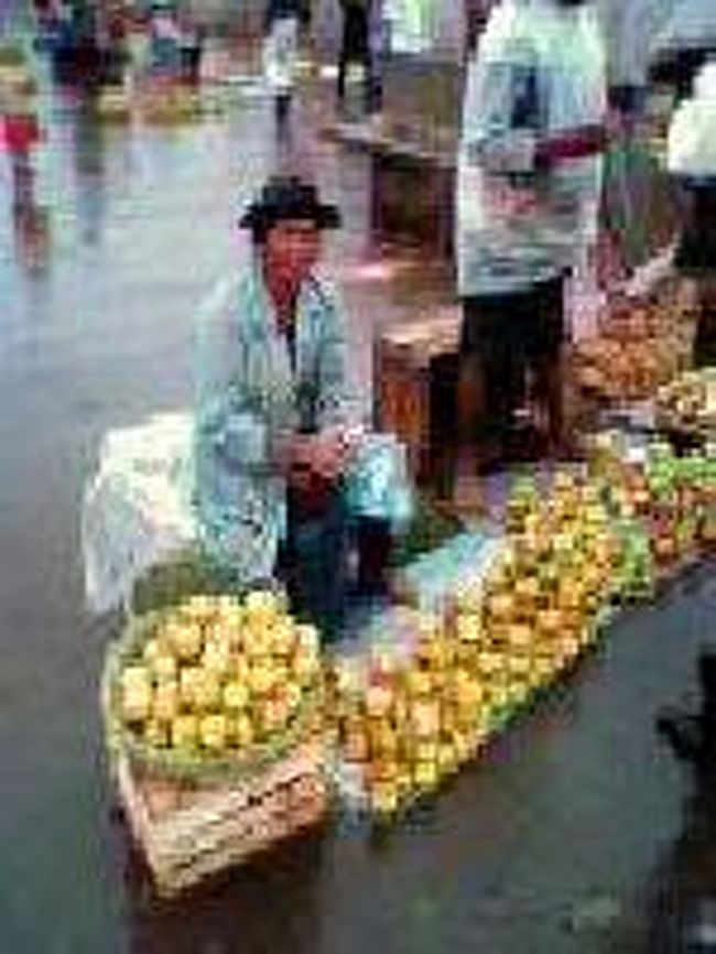 [２００７/３/１７]　(花市近くの市場)<br /><br />適当に旅行会社に入ってレミューズ・パーク方面に行くタクシーブルース乗り場を訪ねると、花市場からでているとのこと。そこはアヌシ湖畔のジョセフ病院の前にありました。ここで通り過ぎるタクシーブルースや行きかう人に尋ねてもなかなかわかりませんでした。そこから近くに鉄道の線路があり、超えないで右手に回るとアンタナナリボから西の方面に向かうタクシーブルース乗り場をみつけました。ここのタクシーブルースは長距離用のために、