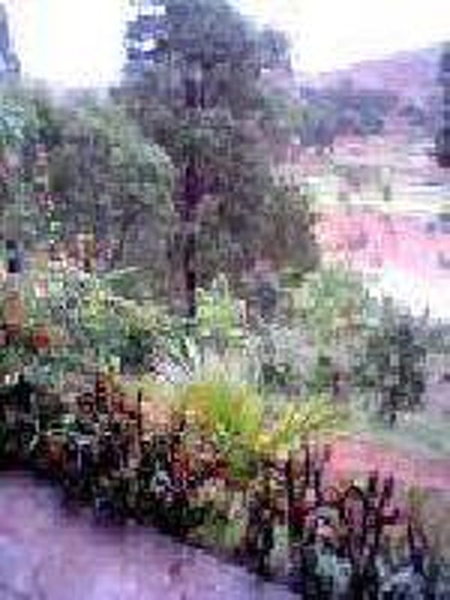 [２００７/３/１７]　(案内所のテラスから)<br /><br />パークの反対側は川になっていました。<br />