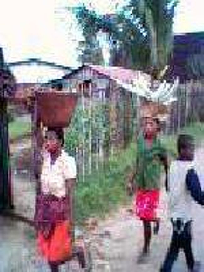 [２００７/３/１８]　(市場に農作物を運ぶ人)<br /><br />市場に農作物を売りに行く農家の人。みんな上手に頭の上に籠をのっけますね～。すご～い。