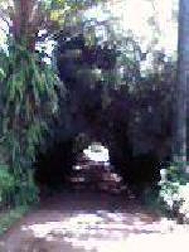 [２００７/３/１８]　(看板横の入口)<br /><br />看板のよこに竹藪の入口があり、そこを抜けると前方に案内所があります。