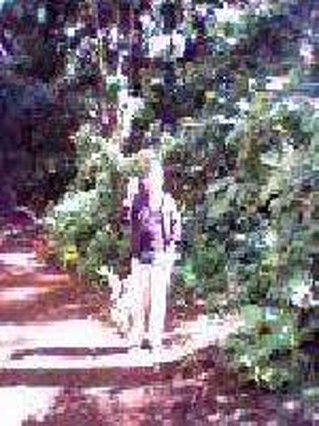 [２００７/３/１８]　(ナハンプアナ保護区にて)<br /><br />管理人さんに自分の写真を撮ってもらいました。思ったより蒸し暑く、　帰りは町へ向かう町の人の車に乗っけてもらい２０分で町中に戻ることができました。２０００アリアリをチップで渡しました。<br />市内からナハンプアナ保護区までの道のりで、なかなか車に出会うことがなかったので勇気をだしてヒッチハイクさせてもらいました。