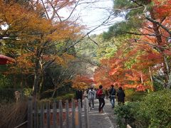 嵐山は駅から近いお寺しか行ったことがないので、たくさんまわりたいと思います。さっそく向かったのが二尊院。