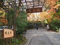 次は祇王寺です。
苔の綺麗なお庭が有名なところで、散り紅葉に期待です！