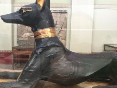 速く走りそうな犬です。