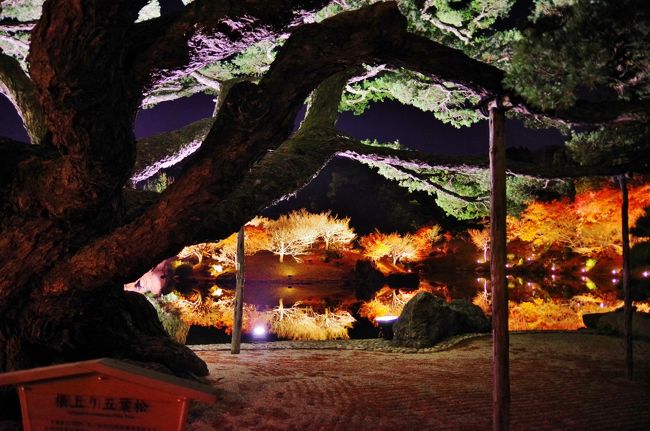 17年栗林公園のライトアップ 高松 香川県 の旅行記 ブログ By 讃岐おばさんさん フォートラベル