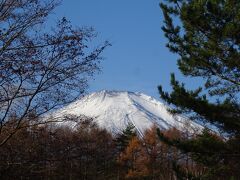 バスを降りると富士山が見えました