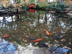 迎賓館からも見えていたホテルニューオータニの日本庭園へ来てみました。こちらの庭園は宿泊者でなくても無料で見学できます。