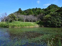 佐倉城の土塁と濠