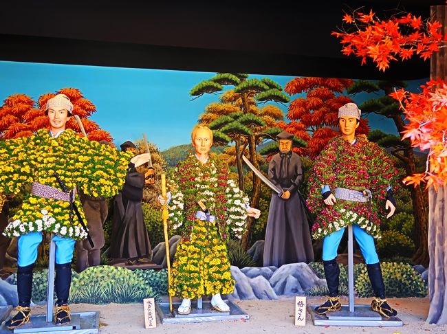 笠間-8 笠間の菊まつりg 菊人形展=水戸黄門さま登場 ☆小野友五郎は郷土の偉人