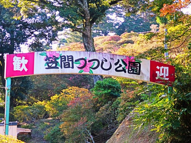 笠間-9 つつじ公園の紅葉・坂本九歌碑など訪ねて ☆観光周遊バス