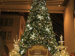 高さ10ｍにも及ぶＭＹ　PLAZAのクリスマスツリー。
星形のモチーフライトと白のイルミネーション。
メインツリーに寄り添う２本の自然木のモミの木にはゴールドのイルミネーション。