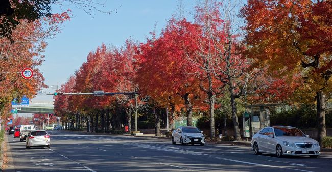 西側から難波宮跡方向