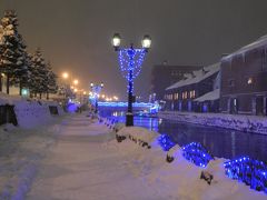 雪に覆われていますね。