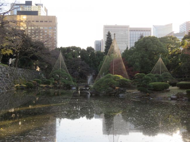 久しぶりに紅葉を求めて日比谷公園を歩く③心字池～第一花壇付近散策