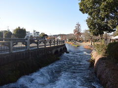 “湧玉池”の水は神田川へ…。