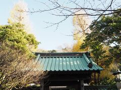 常立寺　山門

江ノ電江ノ島駅から程近い常立寺。
こちらは、紅白の枝垂れ梅を観に何度かお邪魔しています。
