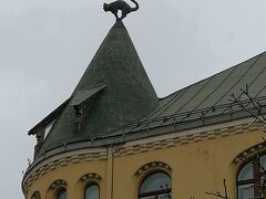 猫の家のネコ。