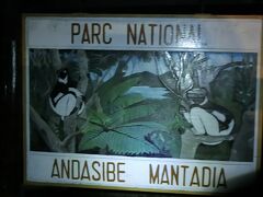 Andasibe-Mantadia National Park　という場所です。
