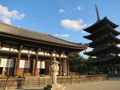 私は初の興福寺
友は何度目？いつも付き合ってくれて、ありがとう！
残念ながら国宝館は改修工事中でイケメン阿修羅像は数日前の１９日までの限定公開が終わってて見れず。１２月末に改修工事が終わって公開するって言われました。
そんなに頻繁に奈良詣しないよ～
まぁまた観る機会があるでしょう！
