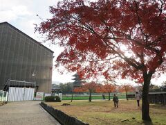 工事中の興福寺の国宝館だ～　阿修羅像見られなかったぞ～