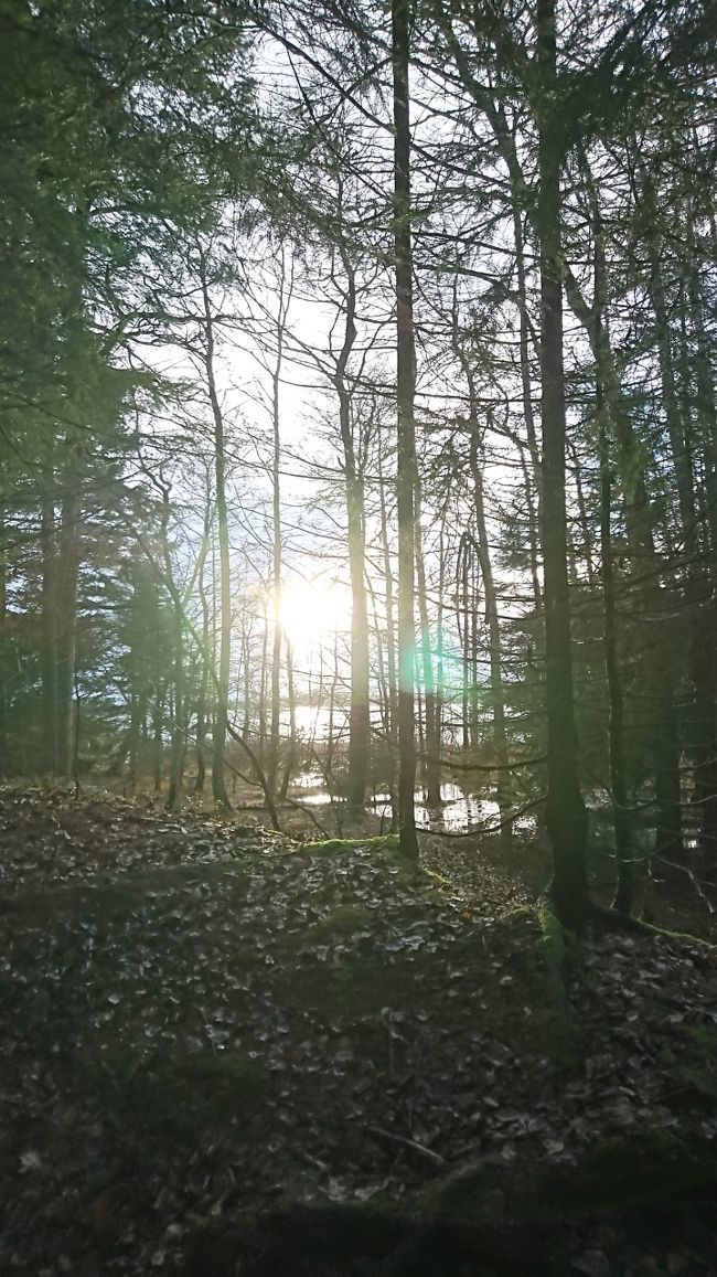 午後の1時過ぎ位。太陽が低いです。