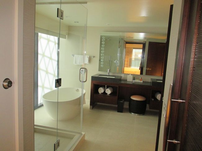 浴室。打たせ湯ですが周りがビシャビシャになります。