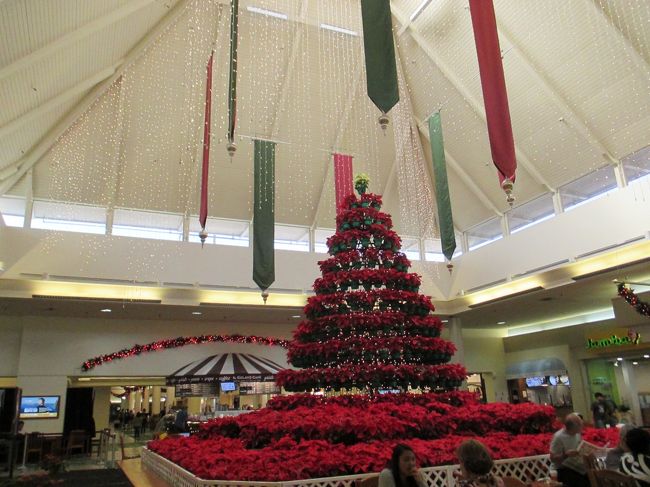 ここにも大きなツリー。