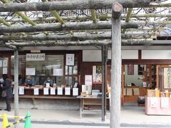 まず、立ち寄ったのは法相宗大本山　興福寺。
http://www.kohfukuji.com/

実は私の友達は御朱印ガール。
ガブちゃんも御朱印を集めていますね。

折角なのでこの機会に私も御朱印デビューする事に！

