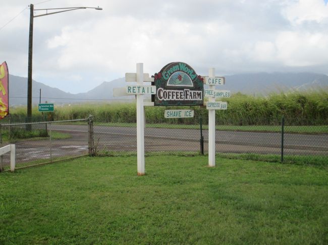 そのあと、ノース方面にドライブ！先ずはグリーンワールドコーヒーファーム。