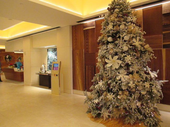 新しくて綺麗です。