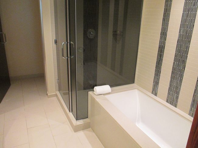 シャワールームとバス。<br />レインシャワーのみで、バスも小さめ。ここだけがイマイチでした。