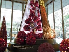 5.丸ビルのツリー
『Marunouchi Bright Christmas -Blooming Anniversary-花で彩るクリスマス』

フラワーアーティスト ニコライ バーグマン氏による史上最大の高さとなる10m超の花のツリー。