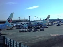 無事、成田に到着しました。
乗ってきたフィンエアー。
マリメッコ機じゃなくて残念。。。。
ん？