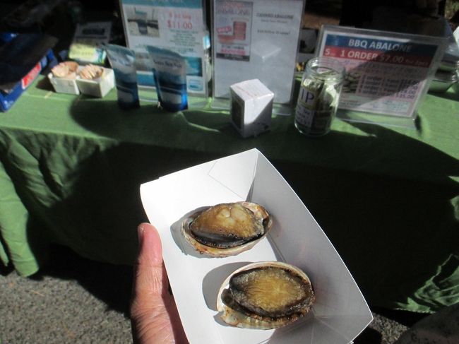 次はアワビ。ちっさ！