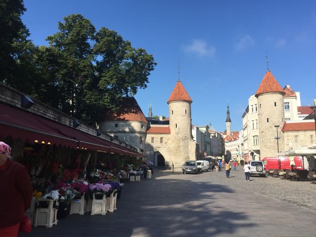 ヴィル門へ。<br />気分が盛り上がる！<br />城壁のある街大好き。