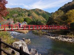 観光地の吊り橋だから、どうせ揺れもしないのだろうと思っていましたが、どうしてどうして。
適度に揺れてくれて、吊り橋感がありました。
