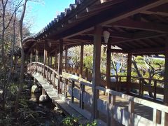 ここが本当に素晴らしい。行ってよかった。
危うく次の予定に押されて、スルーするところでした。
いや、本当に美しい日本庭園が存分に楽しめます。姫路城のついでに絶対行くべきです。もったいないですよ。