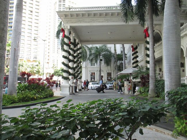 モアナもクリスマス仕様。