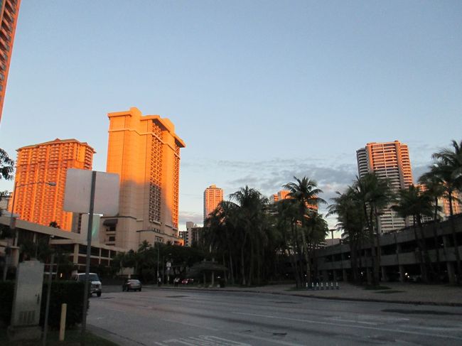 ７日目<br />少し早起きしました。