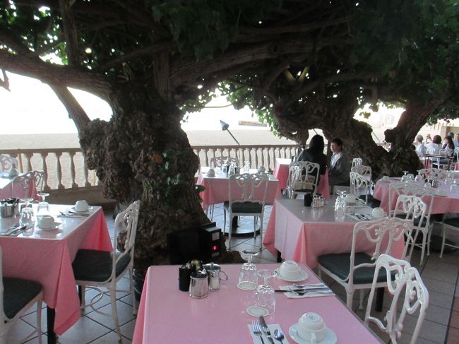 ニューオータニホテルのハウツリーラナイ。７時45分に予約しました。