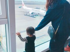 スムーズに地下鉄にも乗れて、桃園国際空港に到着。

とりあえず荷物を預けて自由になります。

チェックインカウンターでちょっとドキドキしたんですが、ちびっこは復路が2歳の誕生日だったんです。
でもちゃんと予約を取るときにJALに電話して、往路が1歳なら幼児料金ですって確認とってました。
でもカウンターのお兄さんがハッってなって、「こどもはたんじょうびですか？」ってそうですそうですって答えたらオーマイガーみたいな感じになってざわつきました。
もしチャイナとかキャセイなら、往路は2歳だから座席&小児料金のはずなんです。
でも私はJALに確認したしって大丈夫って顔で待ってたら、確認とれたようでOKOKって言われました笑
パスポート返すときに「おたんじょうびおめでとございます」って言ってくれてなんかほっこり(*^_^*)


荷物を預けたら地下2階の美食広場で最後の元を使いつくす気持ちで……
A子の旦那さんは鬍鬚張魯肉飯でなんかセットを購入。私たちは無難にマック。
(写真撮ってなかった)
初の魯肉飯はなかなか美味しかったそう。
セットにあった四神湯っていうモツとハトムギのスープが意外にも美味しかったらしい(*´ω｀*)
(私はその時マックに並んでいたので味見できず)
次は四神湯のお店にも行ってみたいな(*^^*)



写真は飛行機を見てテンションあがるちびっこ♪