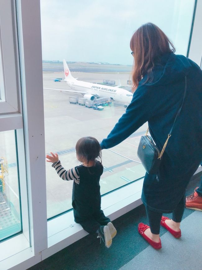 スムーズに地下鉄にも乗れて、桃園国際空港に到着。<br /><br />とりあえず荷物を預けて自由になります。<br /><br />チェックインカウンターでちょっとドキドキしたんですが、ちびっこは復路が2歳の誕生日だったんです。<br />でもちゃんと予約を取るときにJALに電話して、往路が1歳なら幼児料金ですって確認とってました。<br />でもカウンターのお兄さんがハッってなって、「こどもはたんじょうびですか？」ってそうですそうですって答えたらオーマイガーみたいな感じになってざわつきました。<br />もしチャイナとかキャセイなら、往路は2歳だから座席&amp;小児料金のはずなんです。<br />でも私はJALに確認したしって大丈夫って顔で待ってたら、確認とれたようでOKOKって言われました笑<br />パスポート返すときに「おたんじょうびおめでとございます」って言ってくれてなんかほっこり(*^_^*)<br /><br /><br />荷物を預けたら地下2階の美食広場で最後の元を使いつくす気持ちで……<br />A子の旦那さんは鬍鬚張魯肉飯でなんかセットを購入。私たちは無難にマック。<br />(写真撮ってなかった)<br />初の魯肉飯はなかなか美味しかったそう。<br />セットにあった四神湯っていうモツとハトムギのスープが意外にも美味しかったらしい(*´ω｀*)<br />(私はその時マックに並んでいたので味見できず)<br />次は四神湯のお店にも行ってみたいな(*^^*)<br /><br /><br /><br />写真は飛行機を見てテンションあがるちびっこ♪