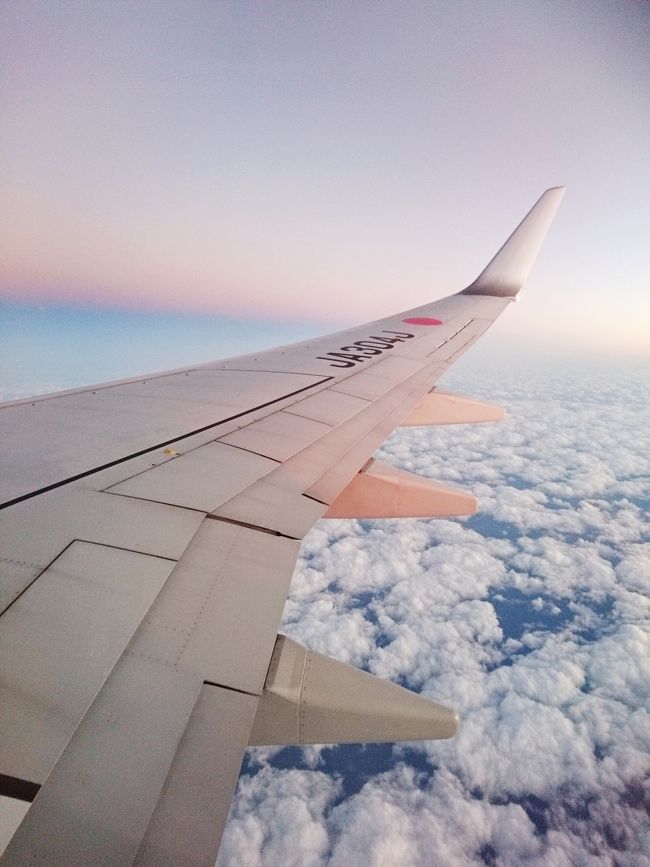 ほんとに楽しかったー台湾(*^^*)<br />また次は来年の夏前にマンゴー食べに行きます！