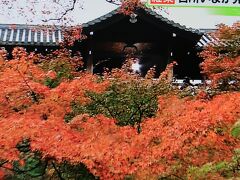 高岡-2　京都・空から見た東福寺・紅葉　 /69             68