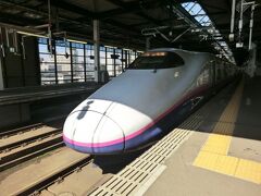 9:55
ジャーン！
東北新幹線です。
母と一緒なので、奮発しました。

やまびこ42号.東京行。
緑のE5系じゃなく、最古参のE2系ですね。