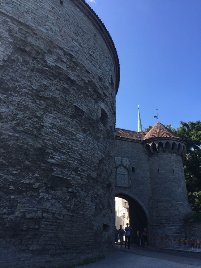 展望台からおりて街歩き。<br /><br />ふとっちょマルガリータ。<br />