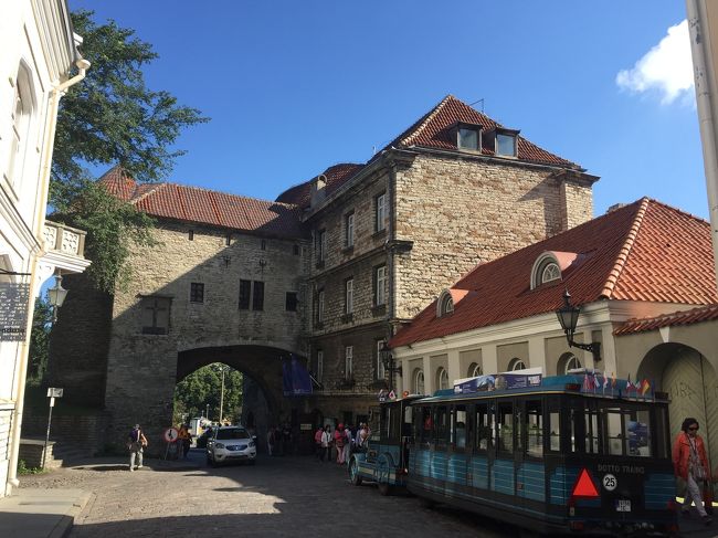 観光地らしい乗り物