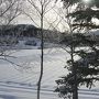 晩秋の白川郷。雪と紅葉と柿の実が賑やかに彩る今年最後の豊かな情景です。