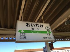 苫小牧駅から乗った列車は、追分駅止まりだったので、追分駅で時間を潰すことに
追分駅は、駅前には何もなかったが、石勝線と室蘭本線が交差するポイントに当たり、鉄道上の要衝になる、そのため、駅は広大であった